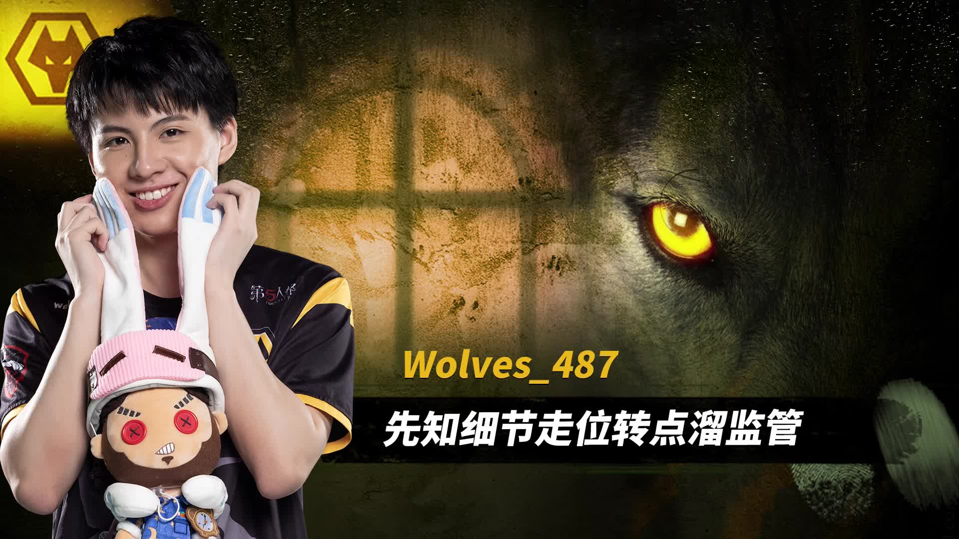 Wolves藏龙 IVL秋季赛精彩集锦第二弹 VS TIANBA、Weibo：幻贺祭司大洞如有神