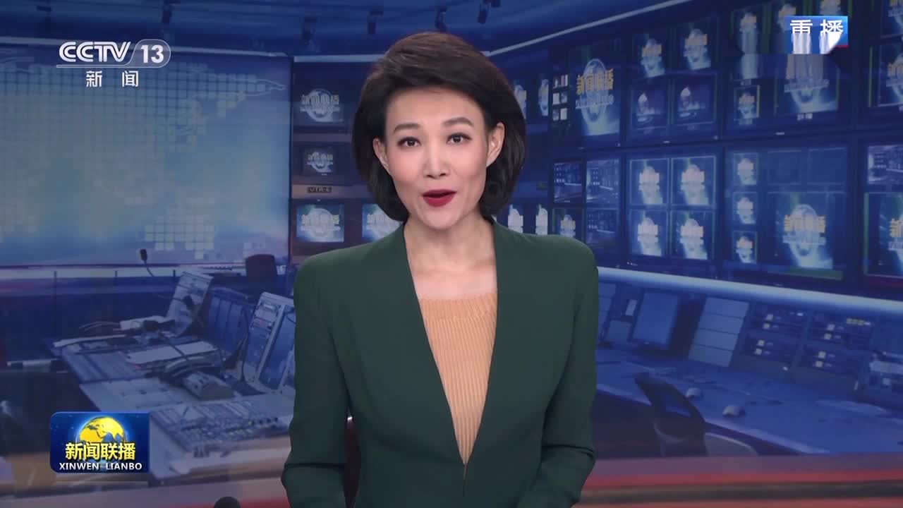 【学思想 强党性 重实践 建新功】中央政法委以高水平法治保障高质量发展