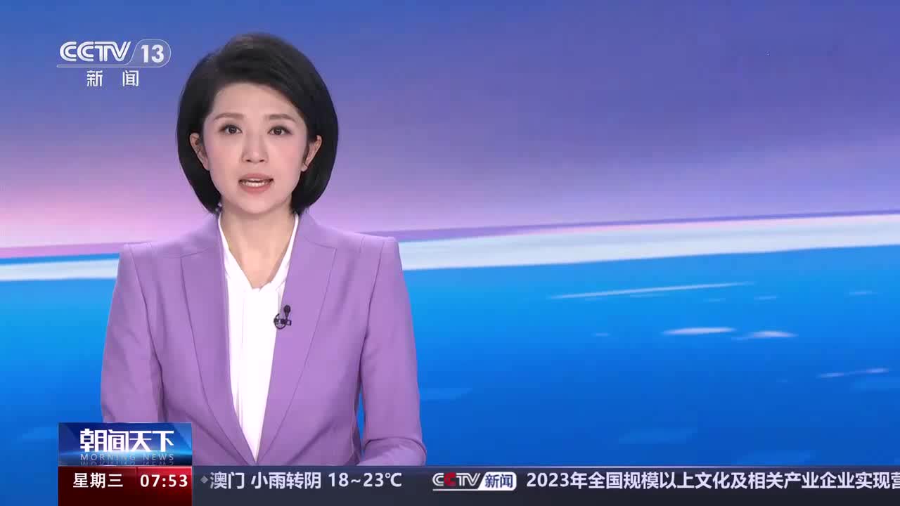 联合国秘书长塞浦路斯问题代表访塞