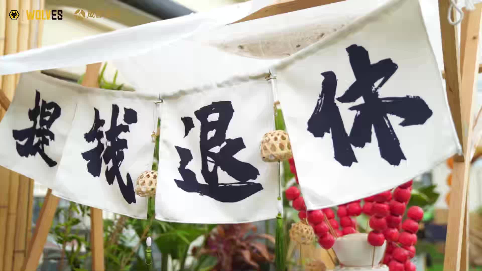 宠爱版完整