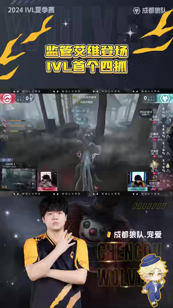 宠爱集锦