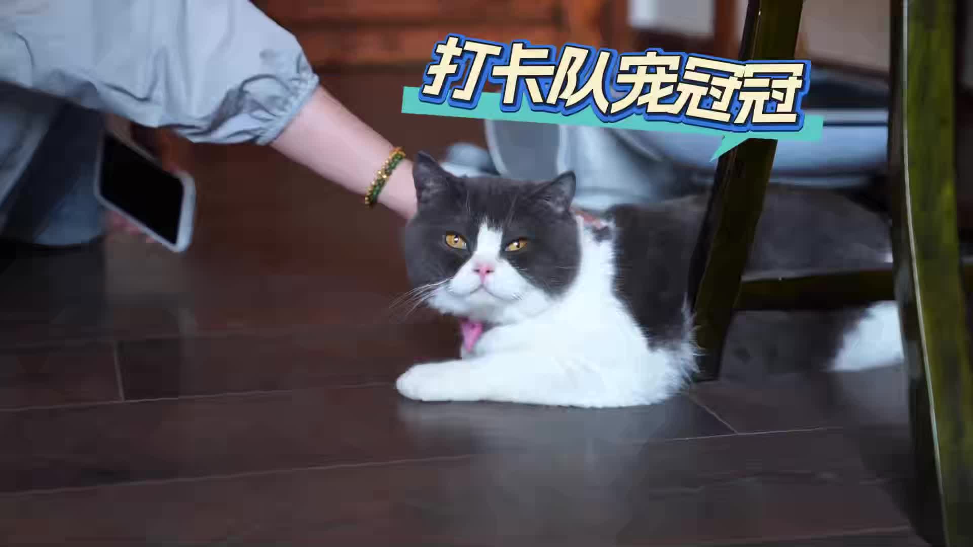 端午vlog
