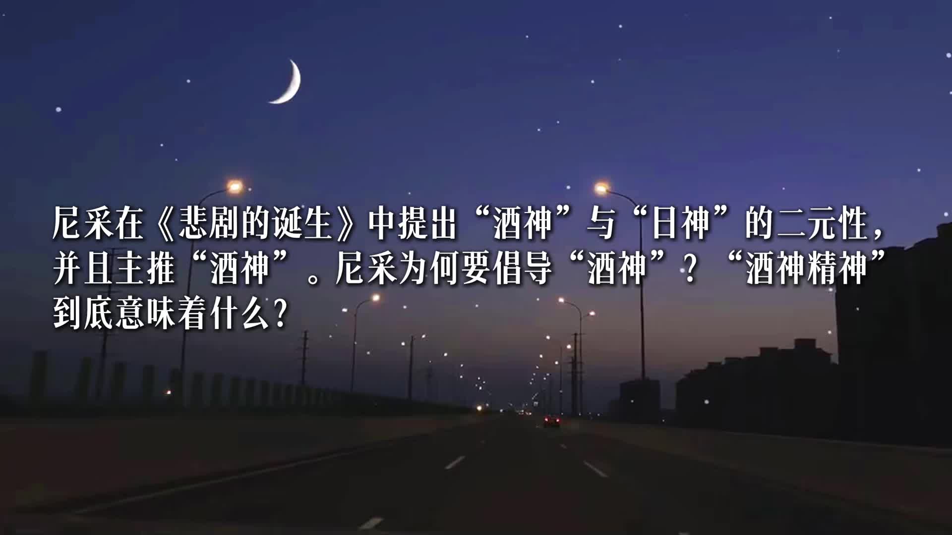 6.13尼采