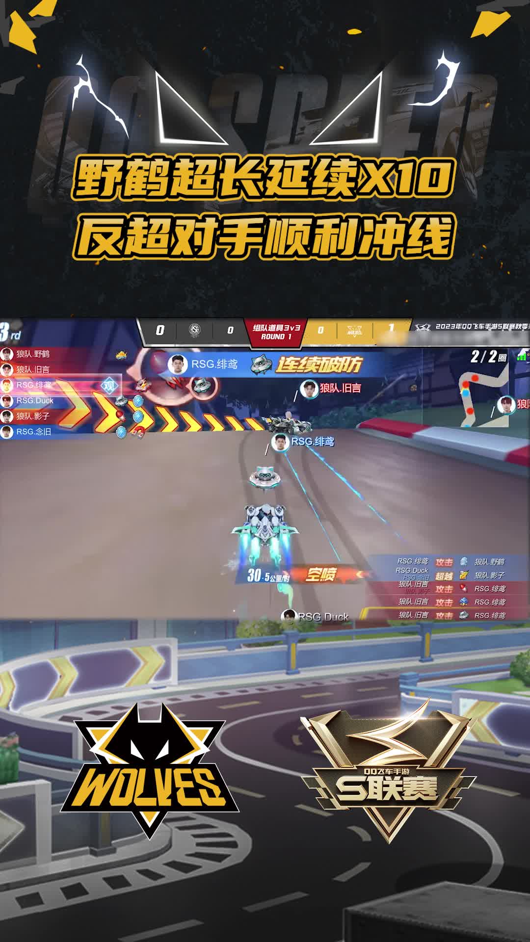 【团】野鹤超长延续X10