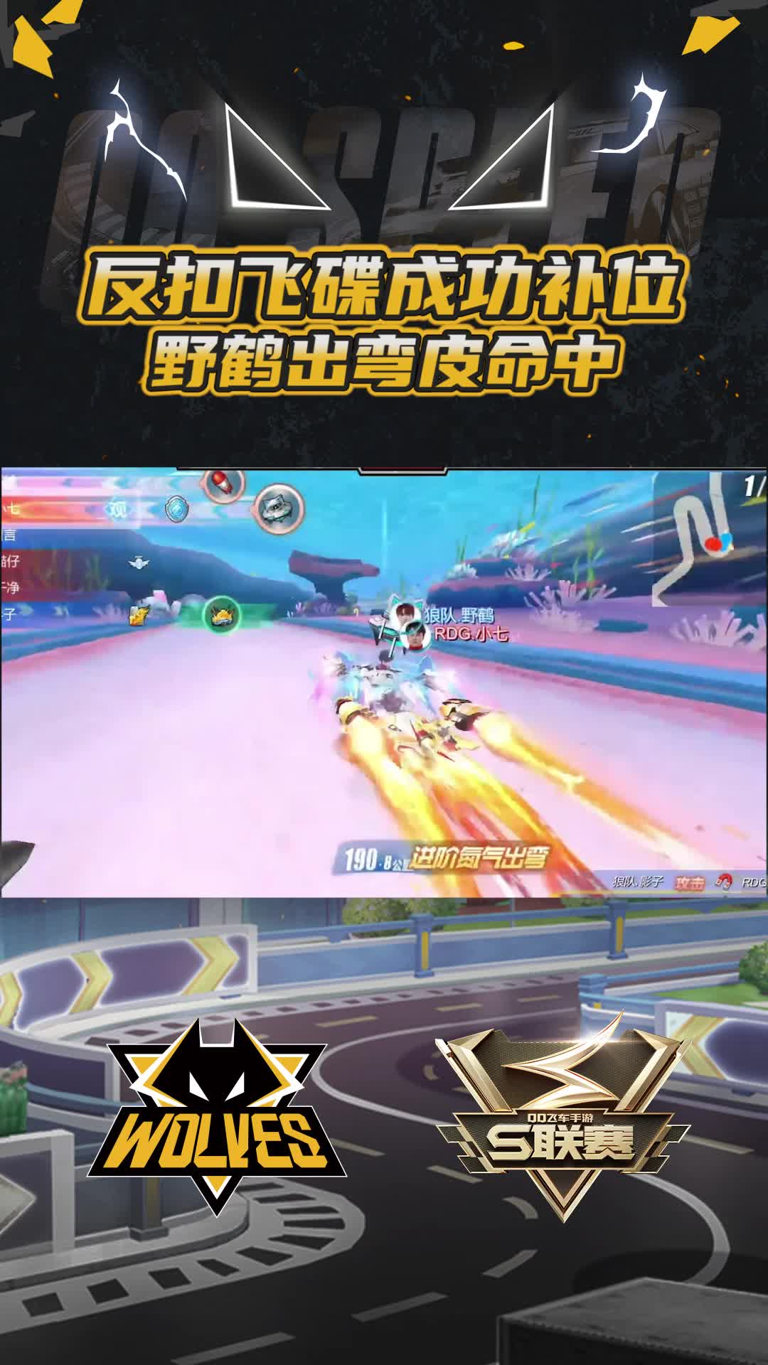 【团队】野鹤出弯皮命中