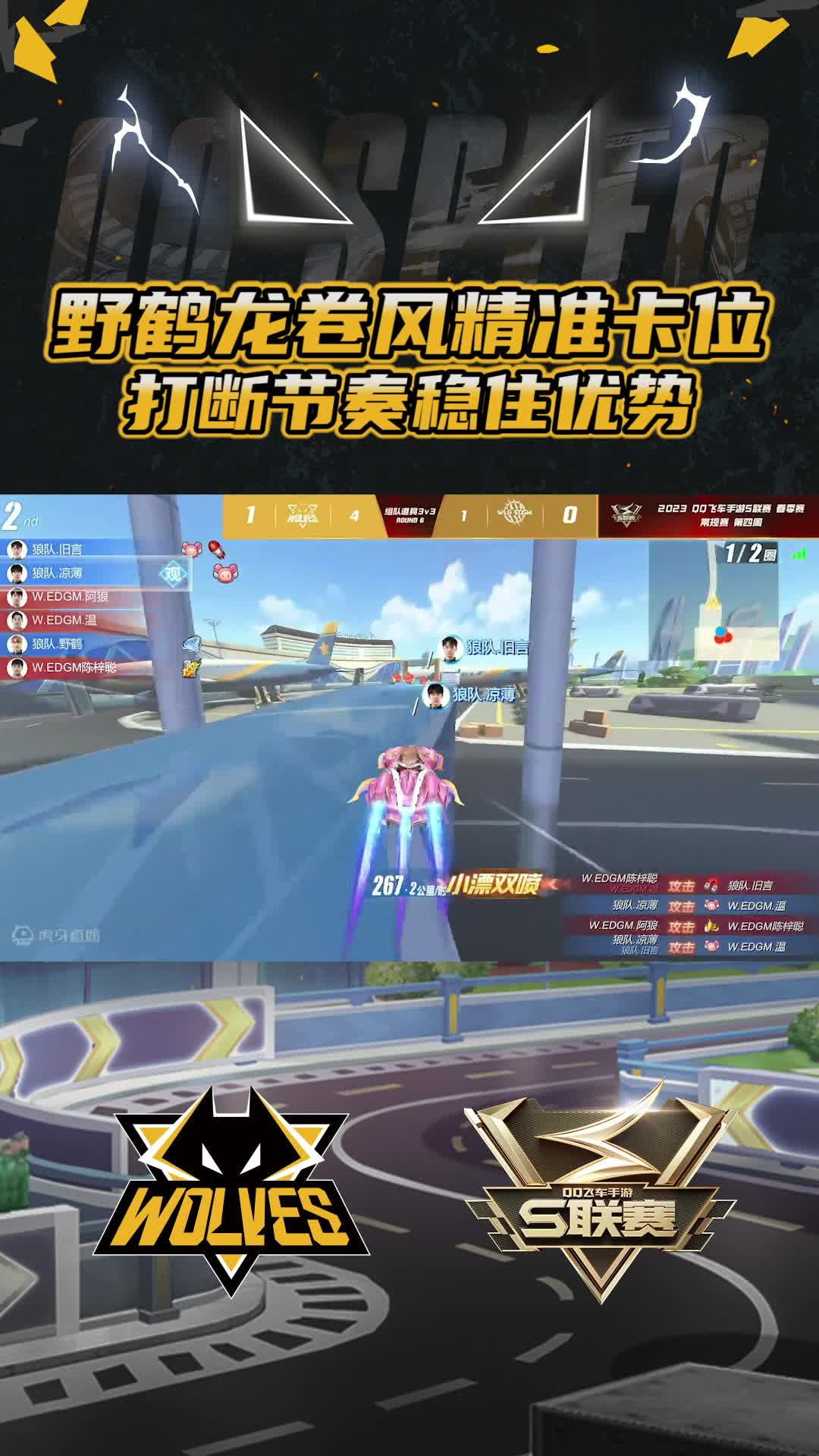 【团队】野鹤龙卷风精准卡位